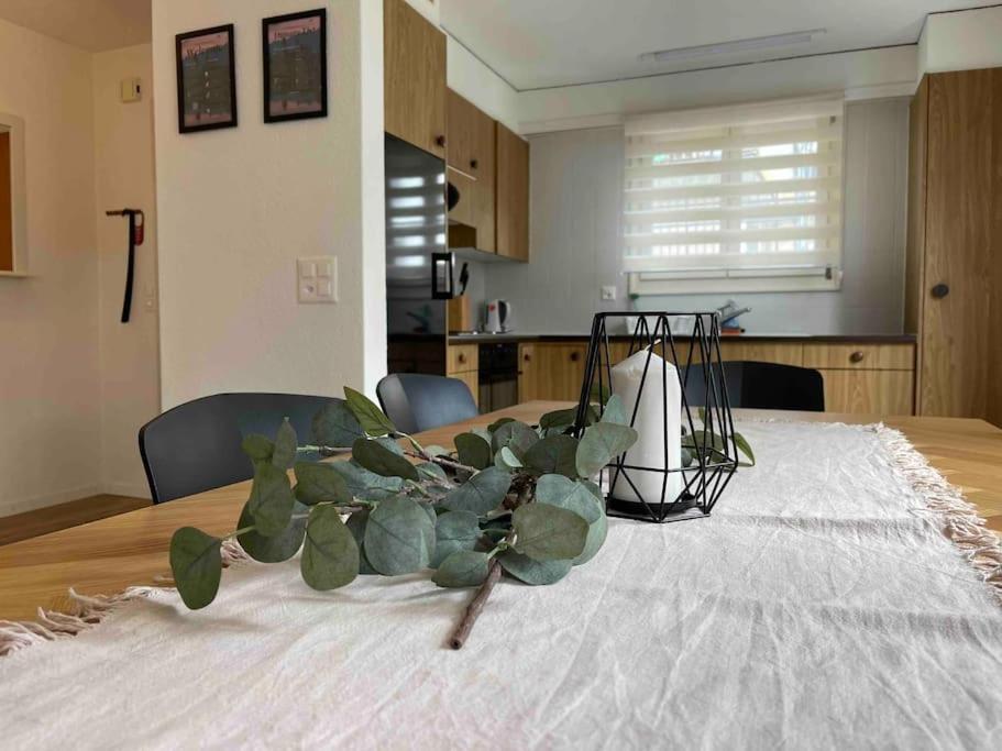 Apartment No.8 Boutique *